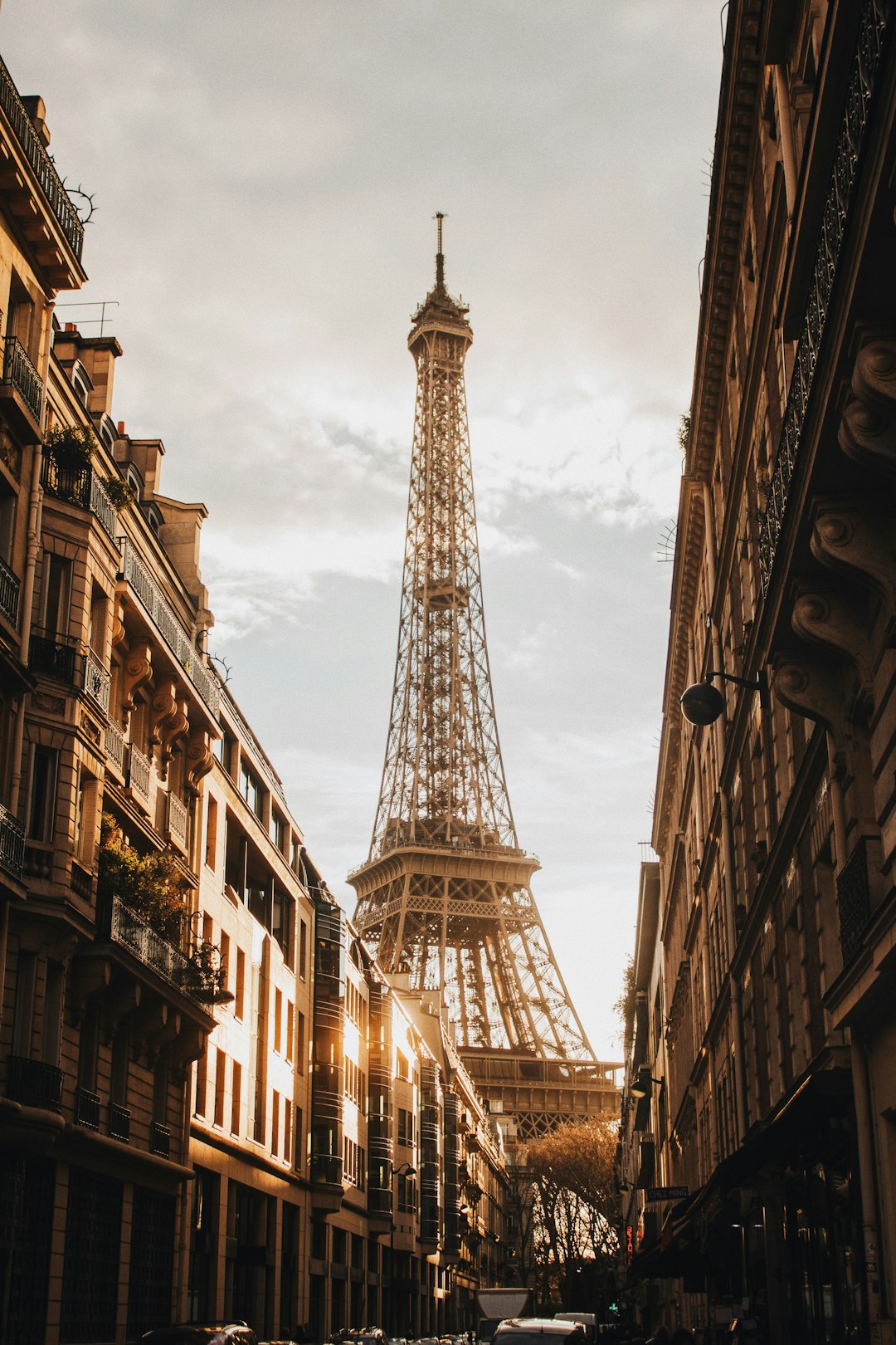 Paris and the school